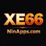 xe66